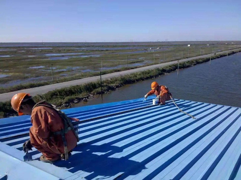 滨海彩钢瓦屋面防腐翻新